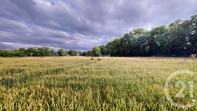Afficher la photo en grand terrain à vendre - 1000.0 m2 - ST QUENTIN - 02 - PICARDIE - Century 21 Agence Delahaye