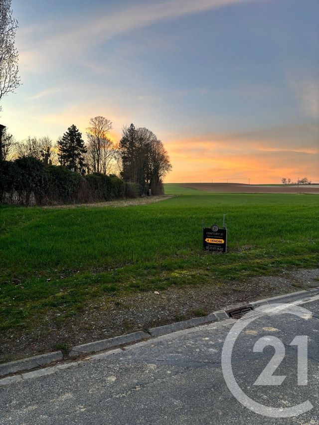 terrain - ALAINCOURT - 02